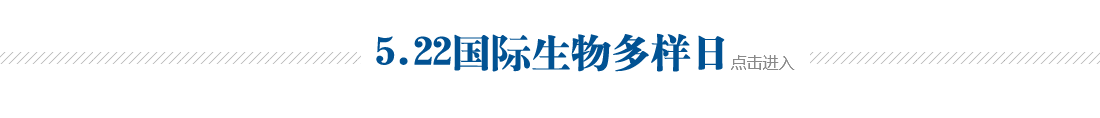 5.22国际生物多样日